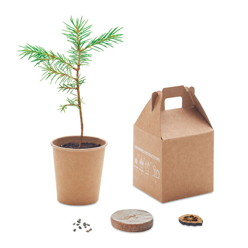 Pine tree box - Image 5